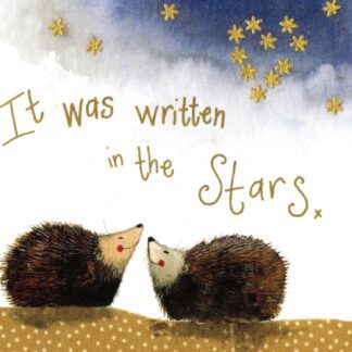 The main product image for Stargazers Hedgehog Coaster.