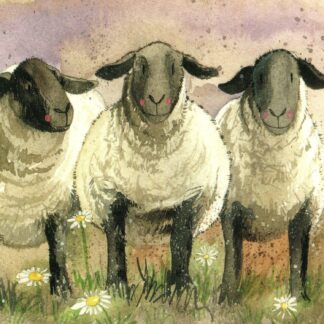 The main product image for Suffolk Sheep Coaster.