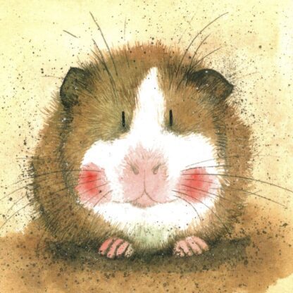 The main product image for Gilbert Coaster.